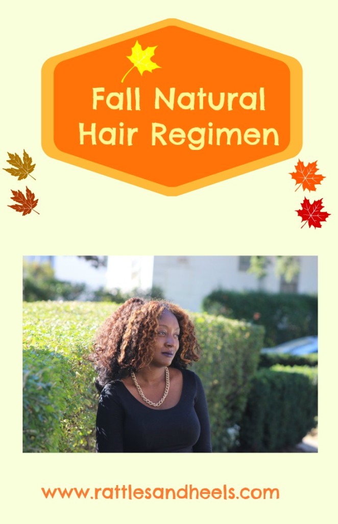 Natural Hair Fall Regimen