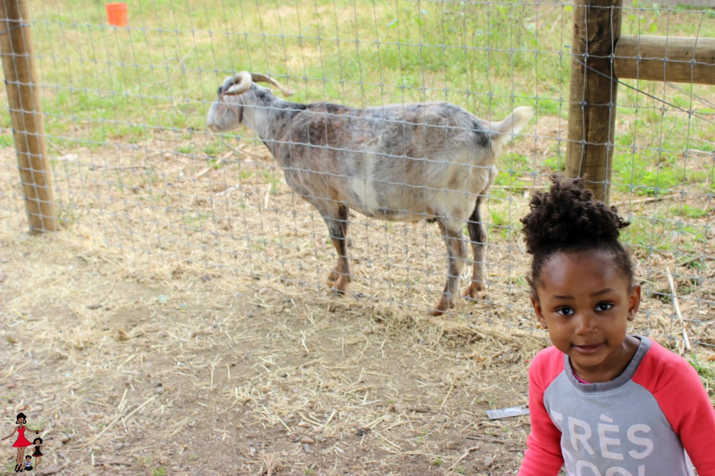 queens-county-farm