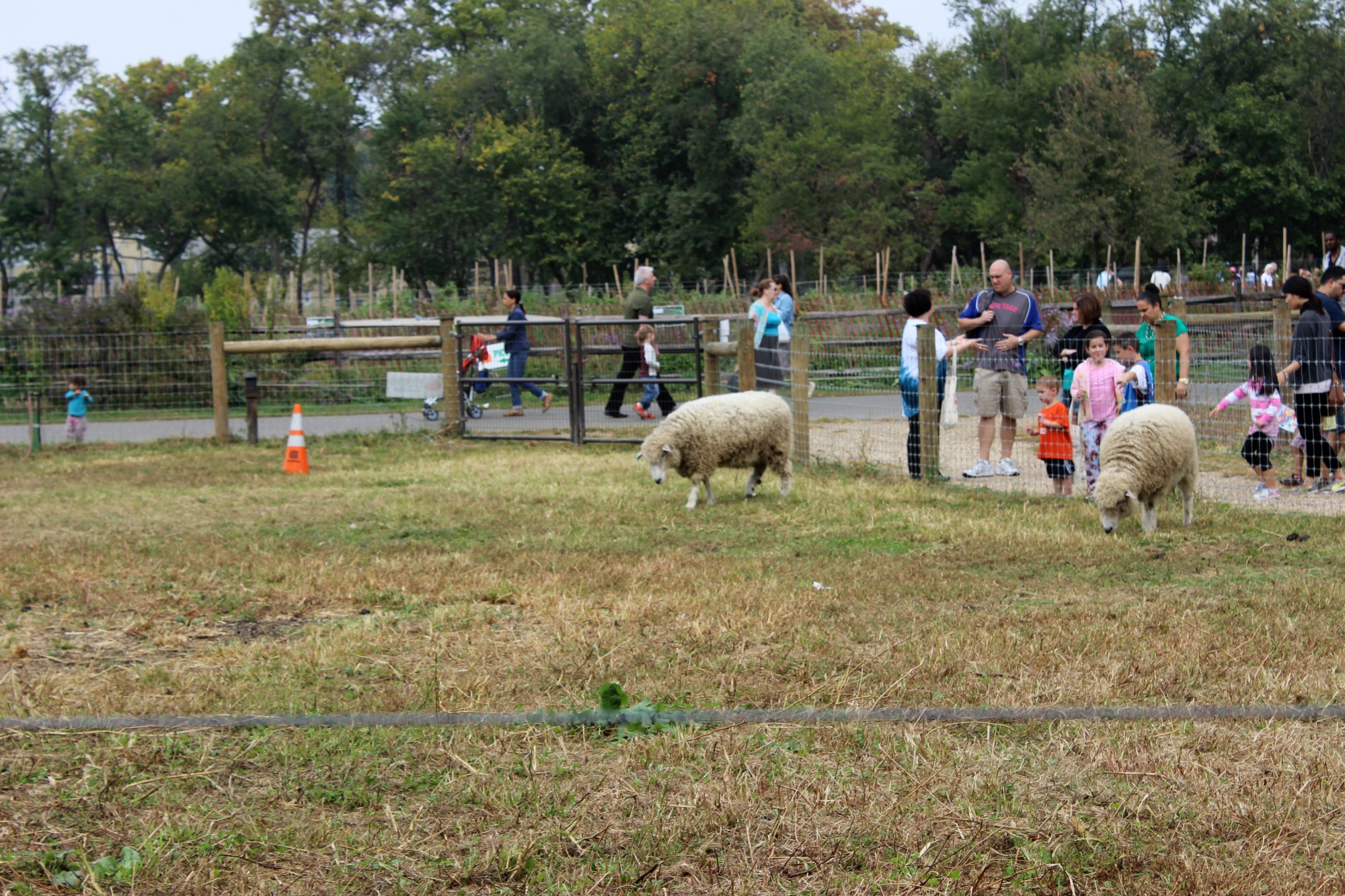 queenscounty-farm