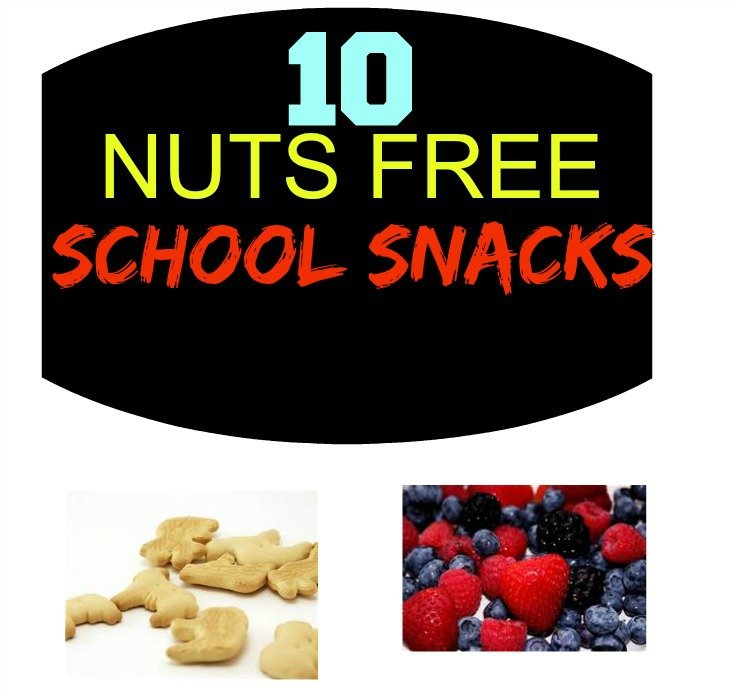 10 Nuts Free School Snacks