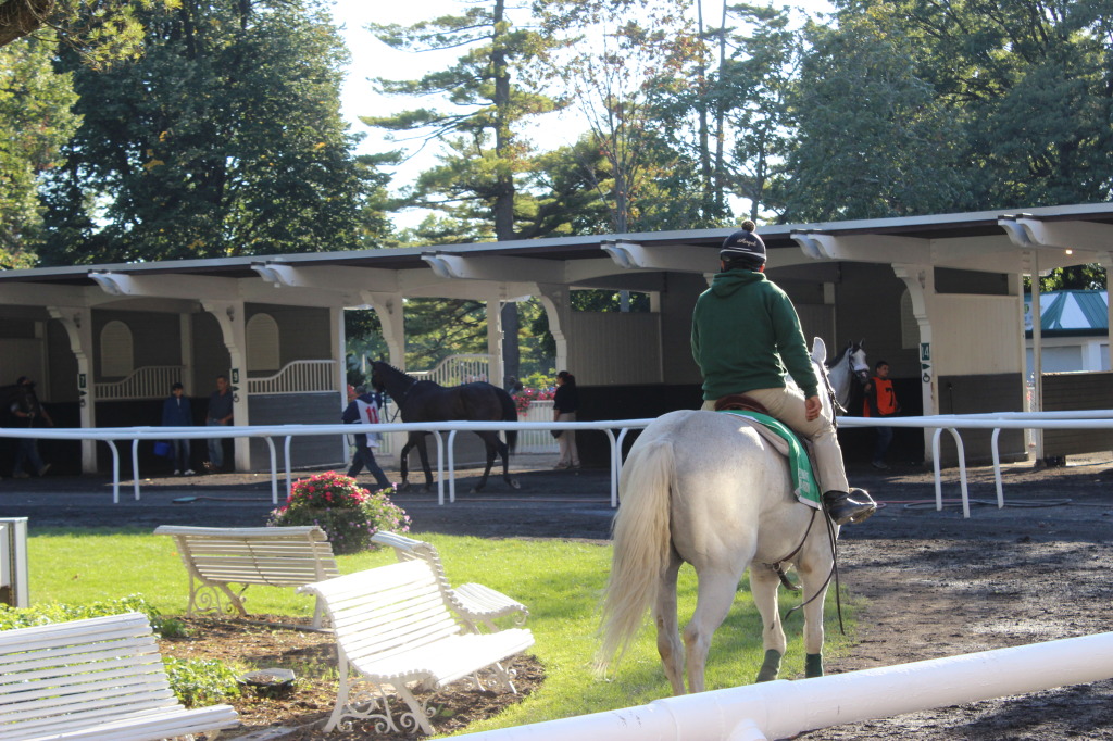 belmont-race-track