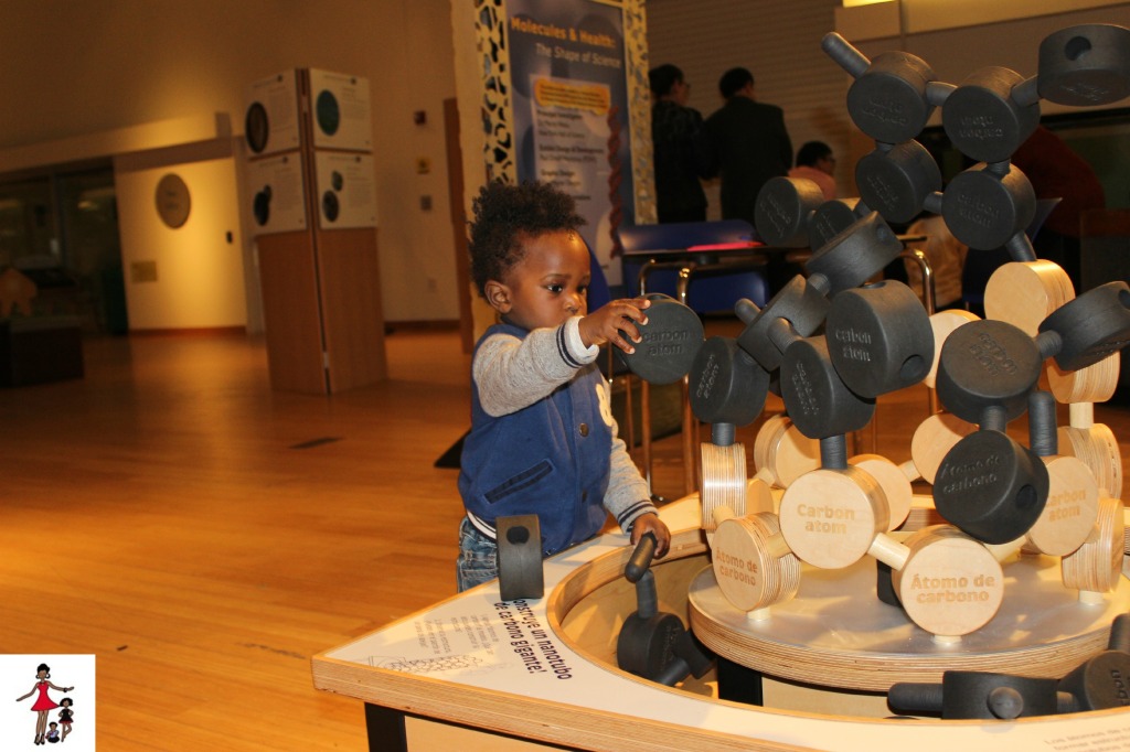 Brooklyn-children-Museum