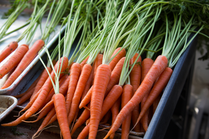 happy-family-carrots