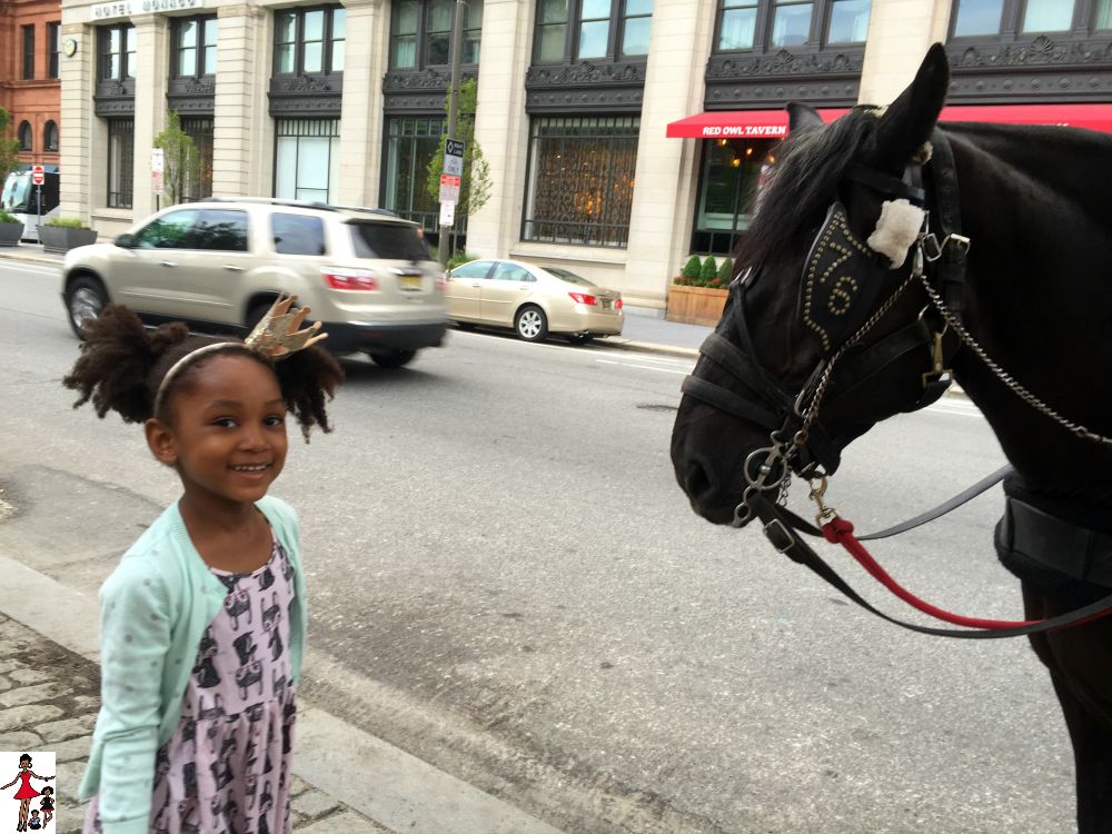 horse-and-carriage-philadelphia