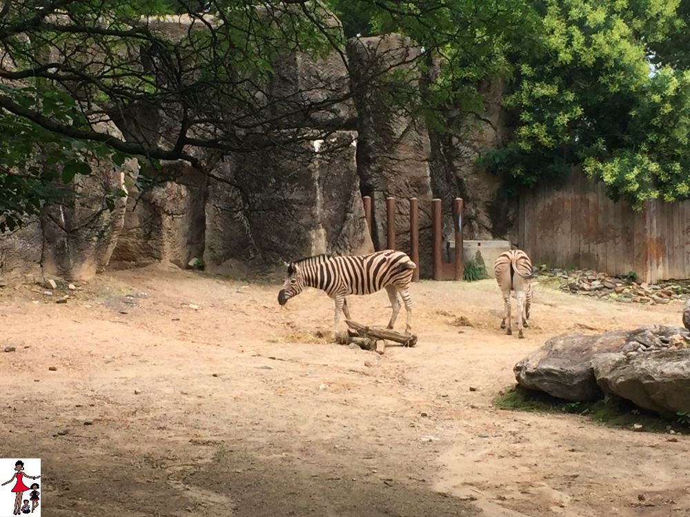 philadelphia-zoo-3