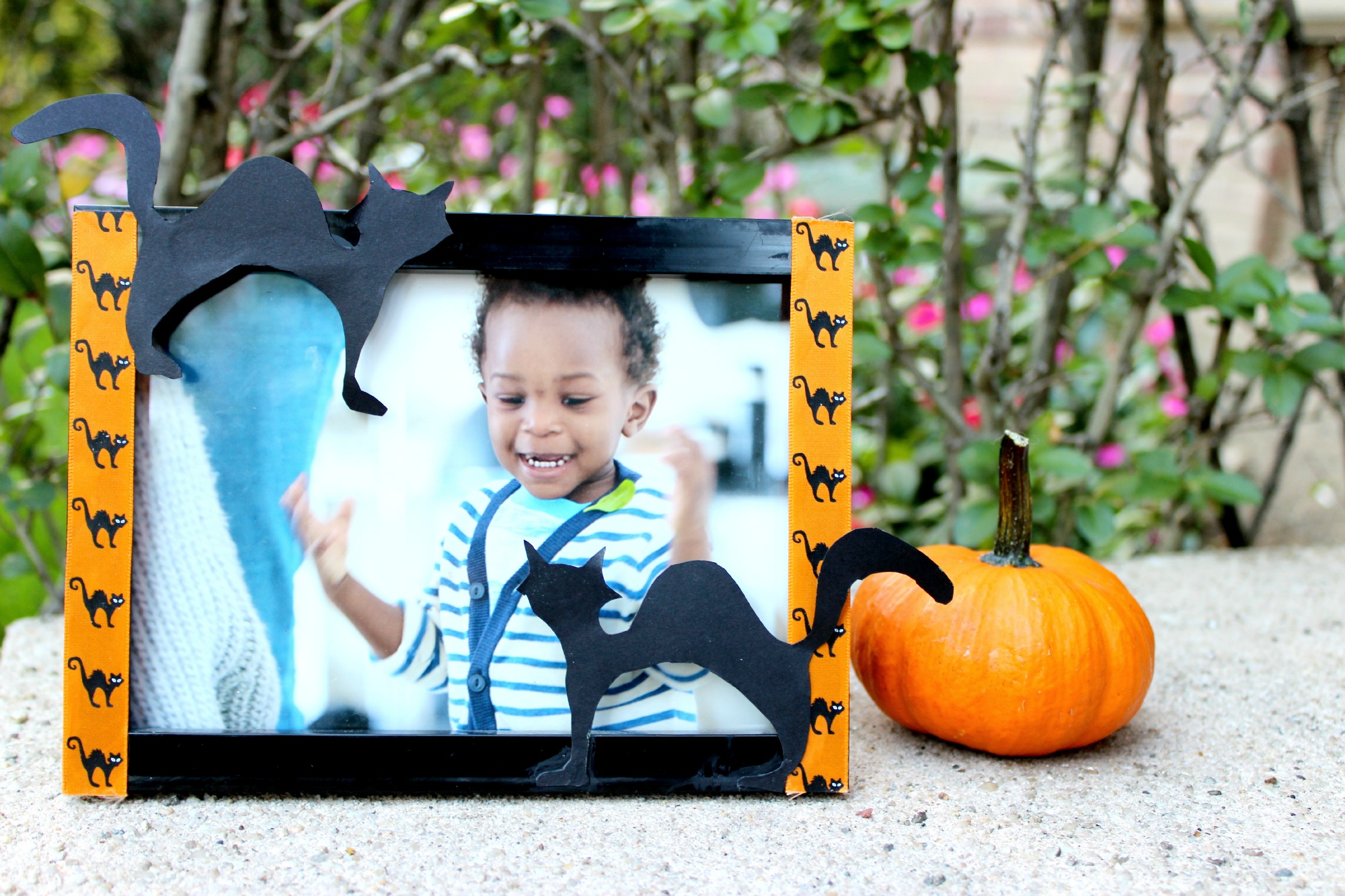 halloween-picture-frame