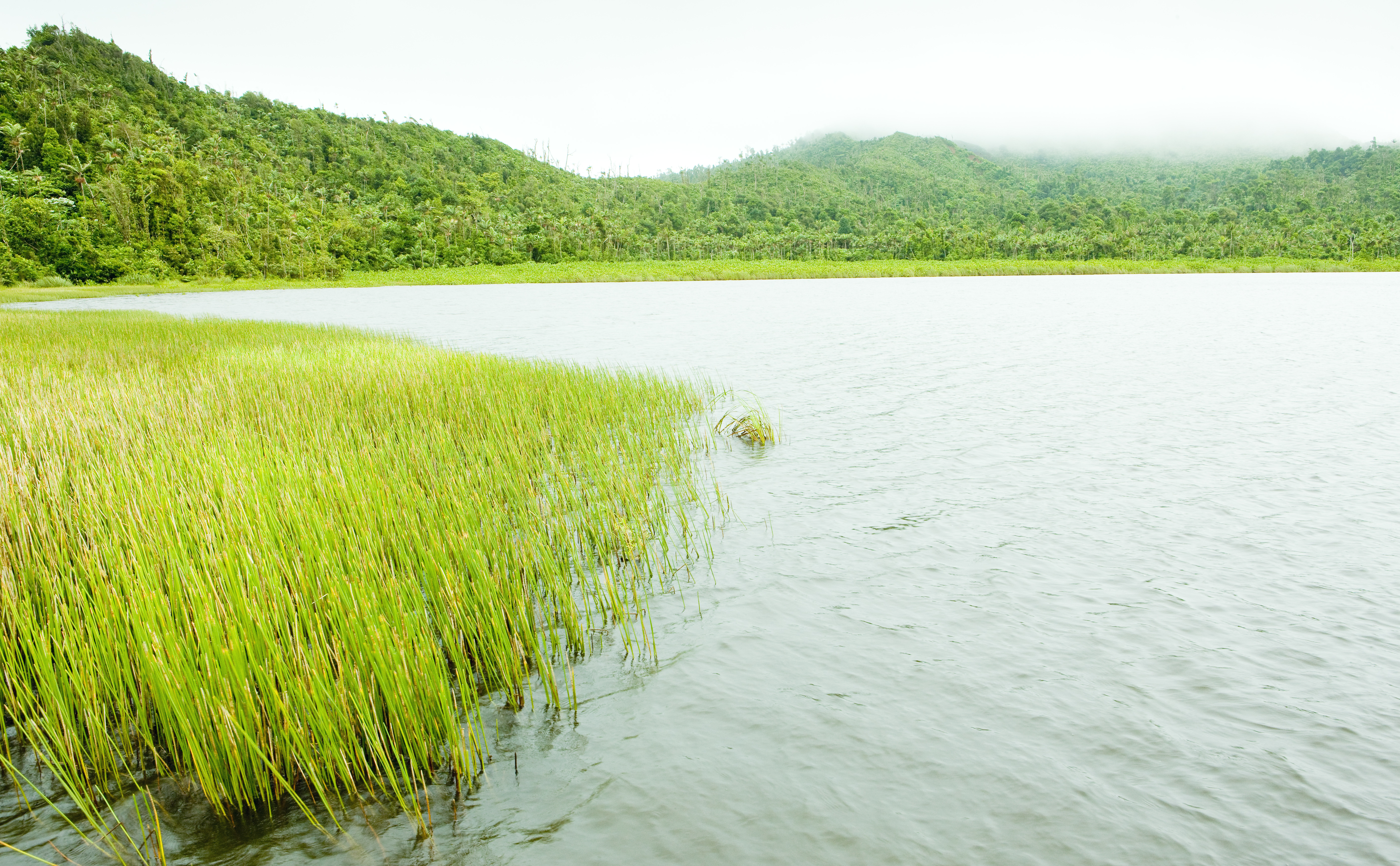 Grand Etang lake, Grand Etang National Park, Grenada