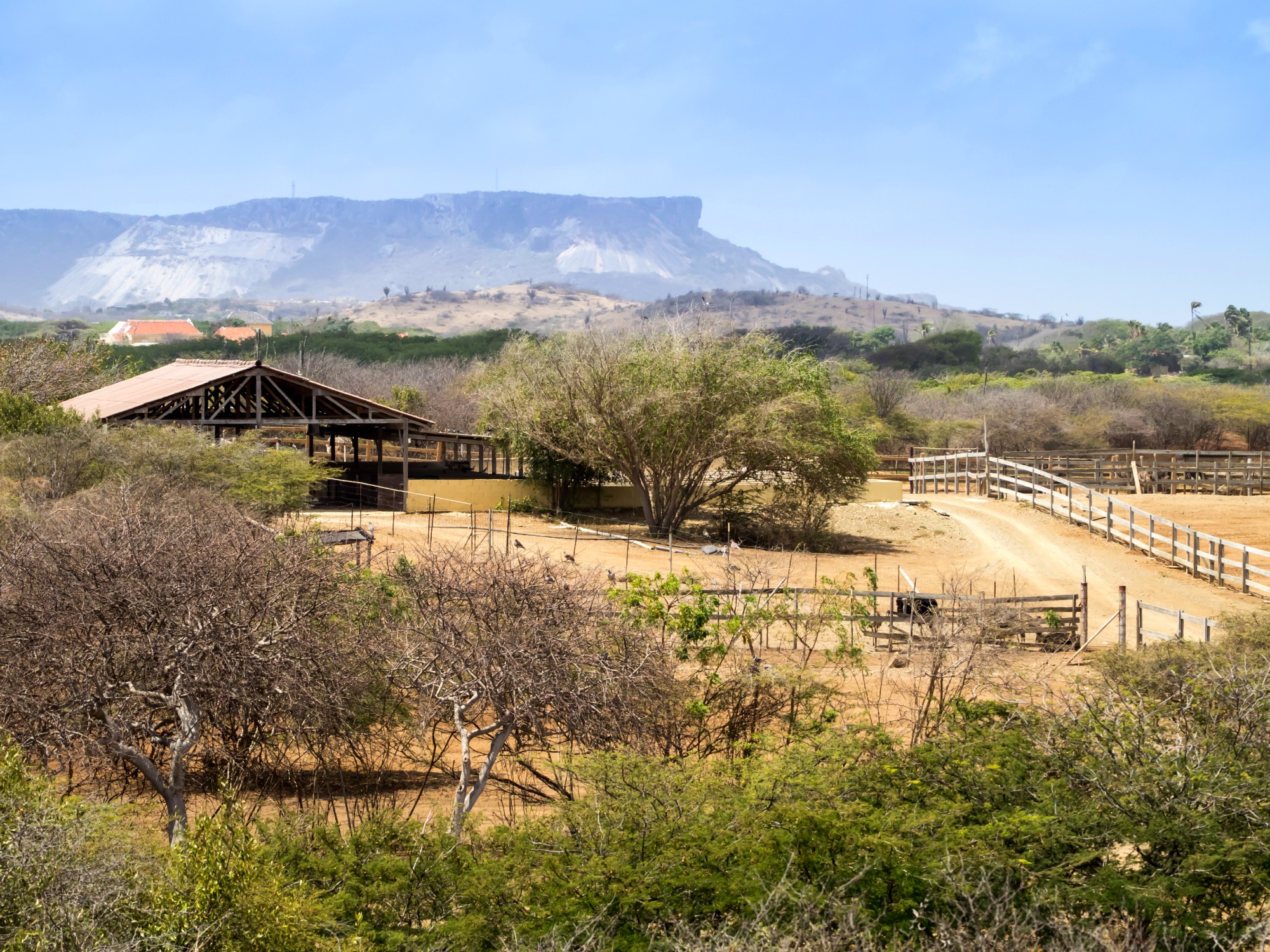 Curaçao Ostrich farm