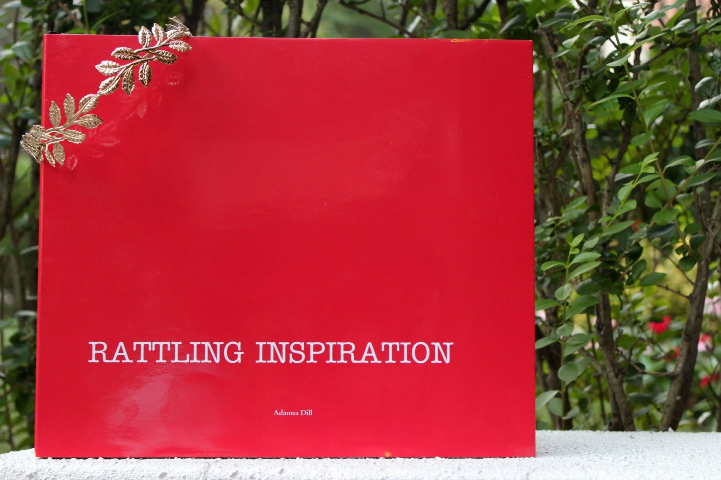 Rattling Inspiration: Creating A Blurb Photo Book