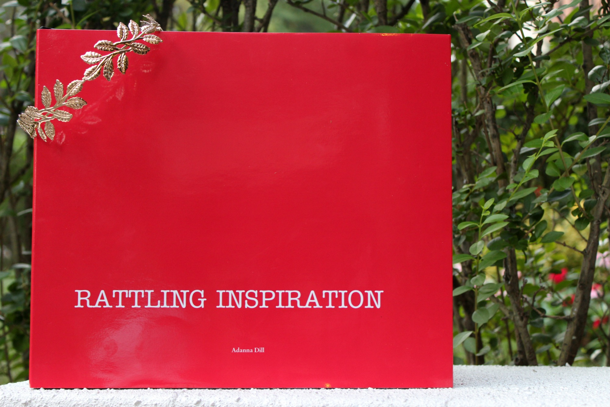 Rattling Inspiration Creating A Blurb Photo Book Adanna Dill