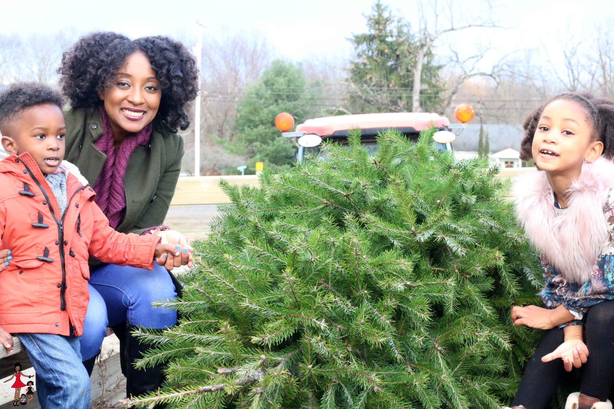 christmas-tree-picking