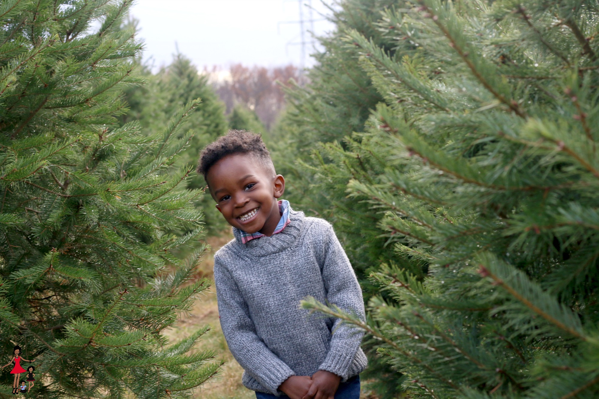 ny-christmas-tree-farm-picking