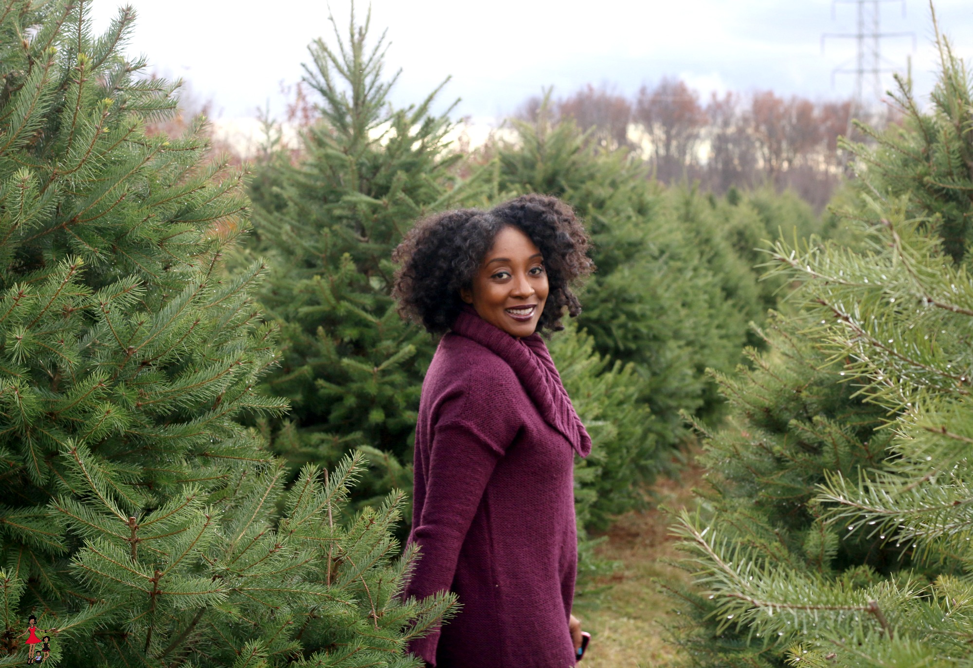 ny-state-christmas-tree-farm