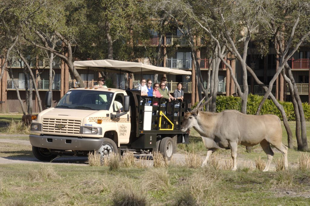 Disney's Animal Kingdom Lodge with kids