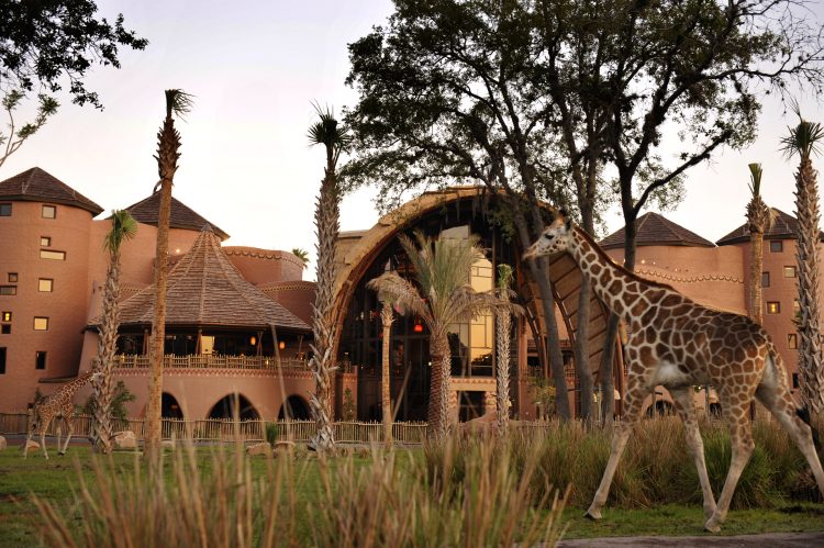 Disney's Animal Kingdom Lodge