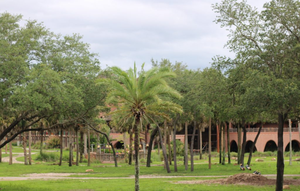 Disney's Animal Kingdom Lodge with kids