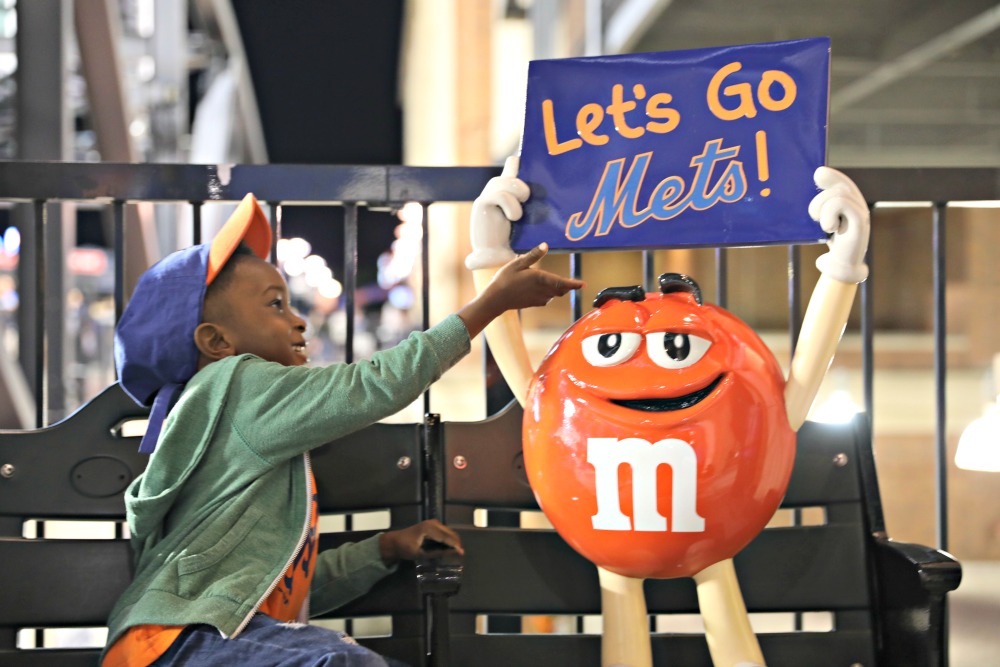 Family Night at New York Mets Game