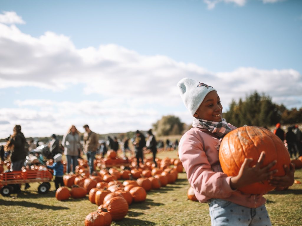 Fall Vlog  Outting With Friends, Pumpkin Patch, Haunted Cornmaze, and MORE  