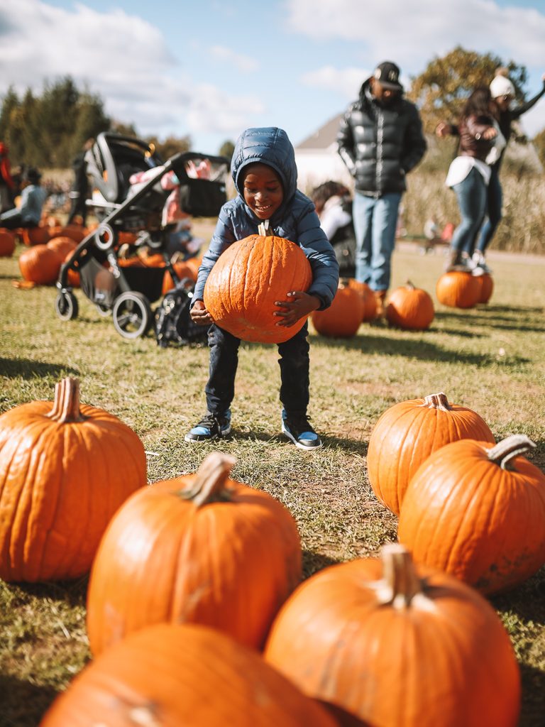 Things to do with NYC kids this Fall