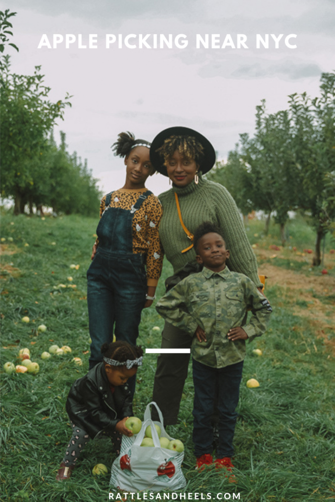 Where to go apple picking near NYC