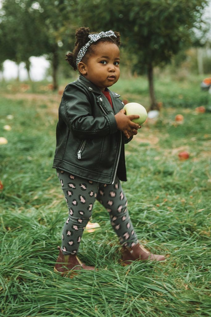 fall family photos apple picking