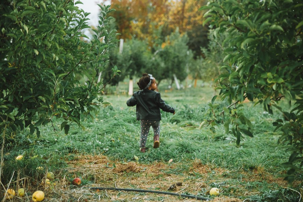 Apple picking near NYC + Fall Family Photos