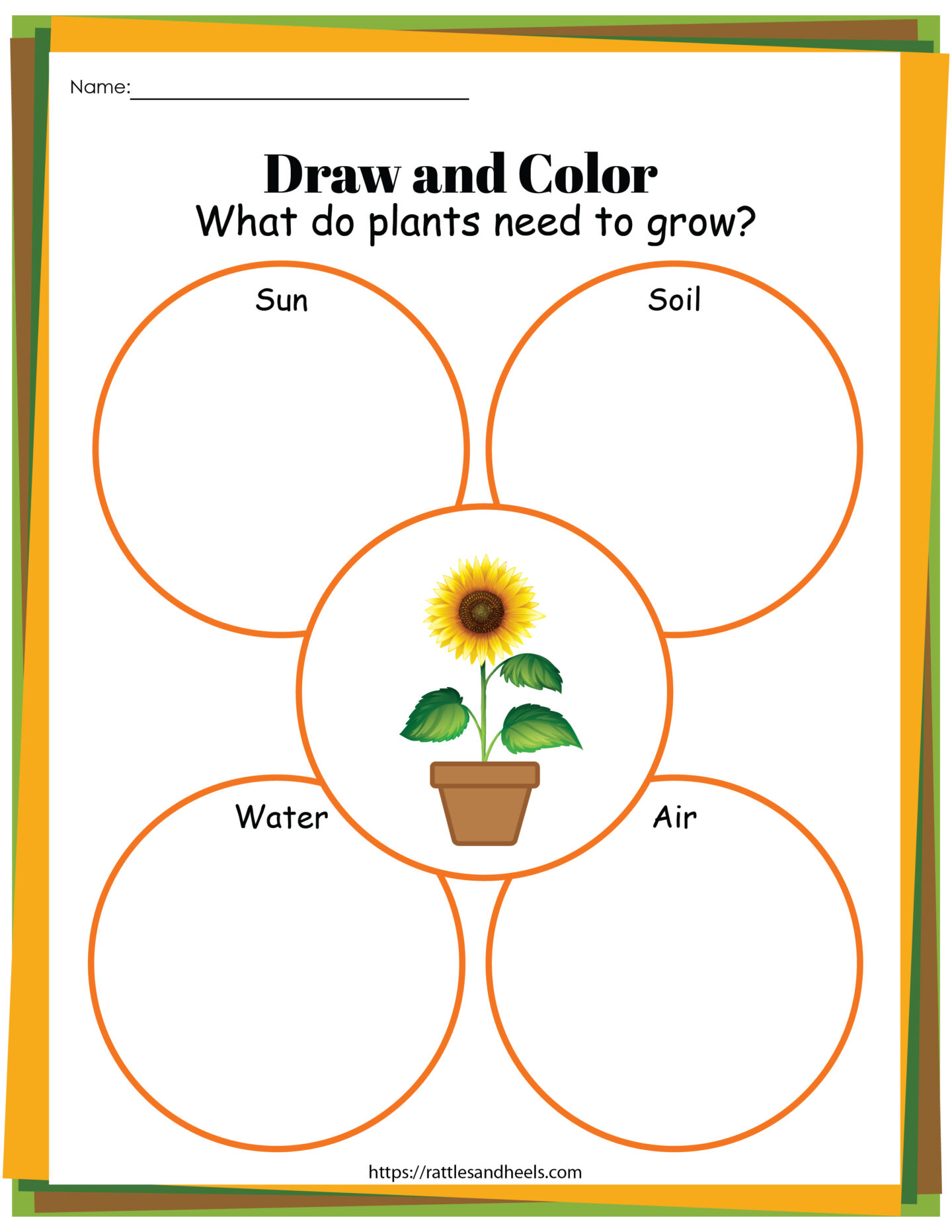 Plant Life Cycle Worksheets