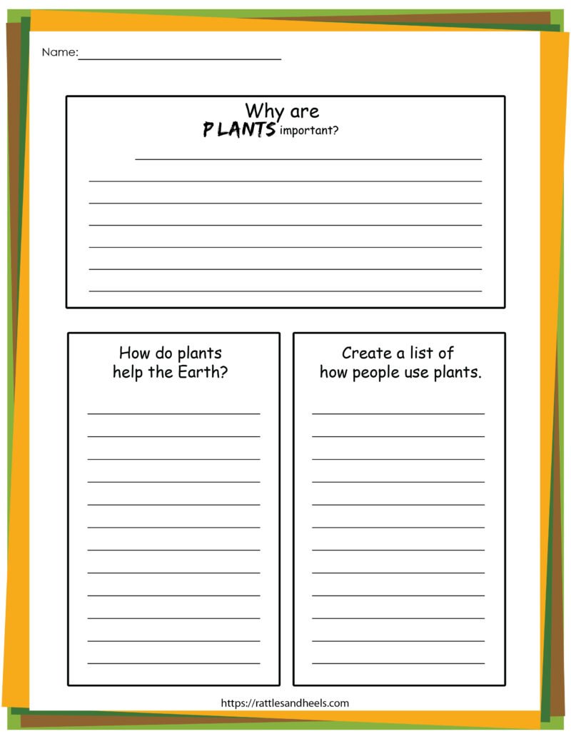 Plant Life Cycle Worksheets Free Printables for Kids