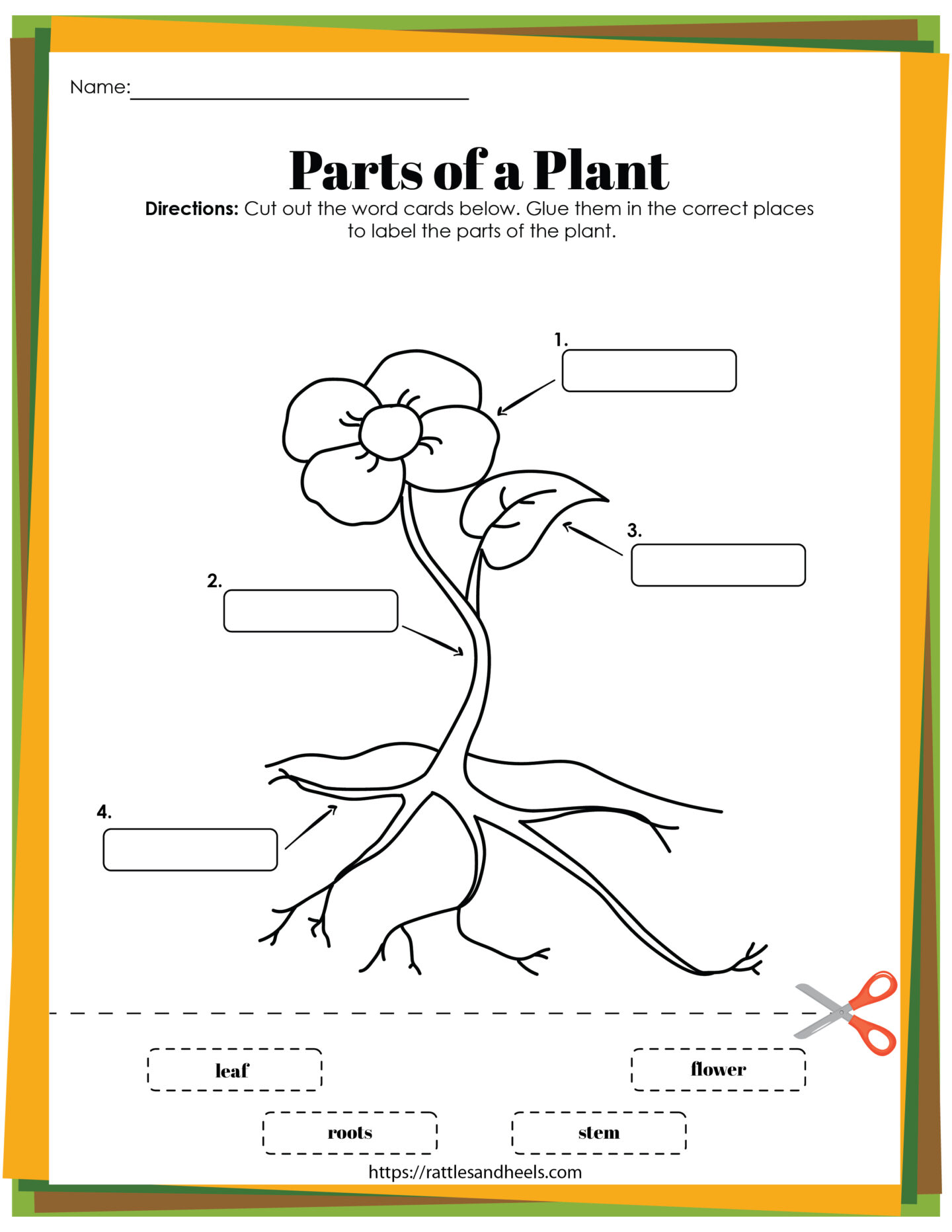 parts of a plant for kids printable