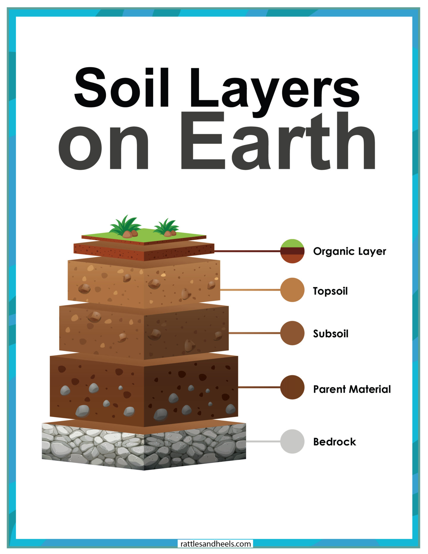 soil layers worksheet for kids