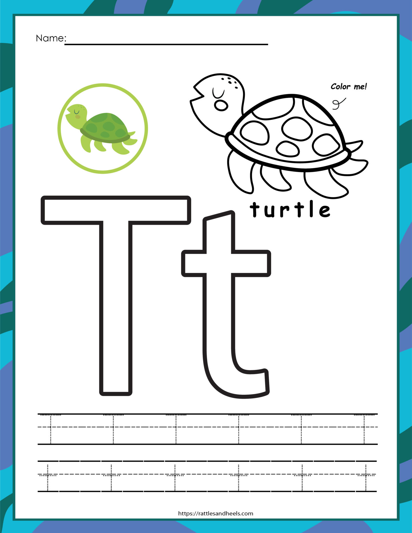 sea turtle activity sheets