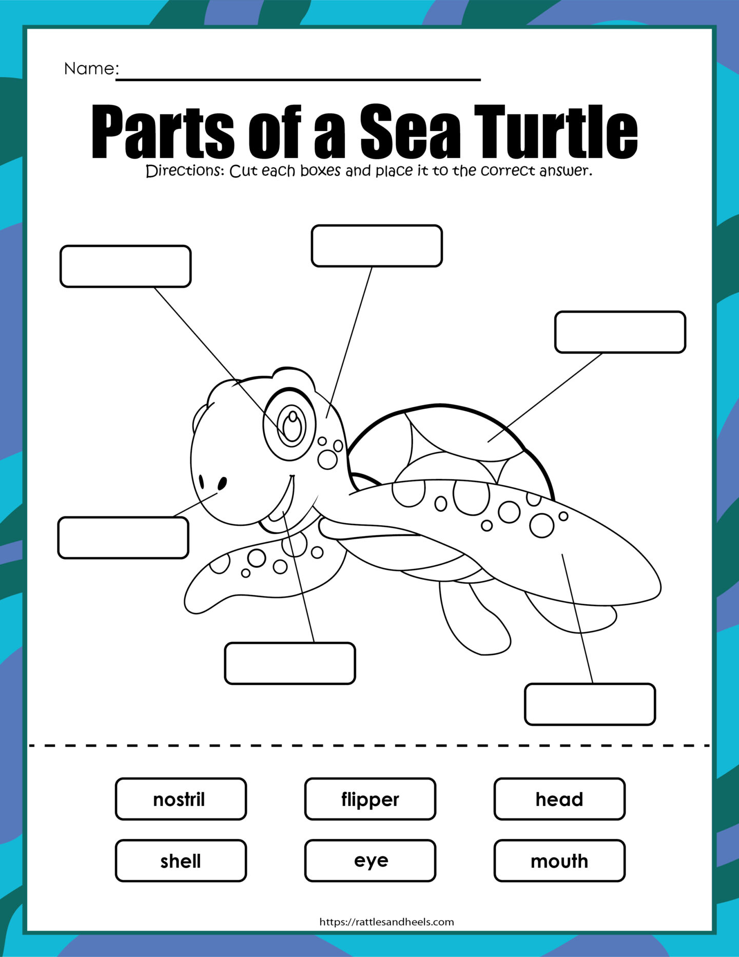 sea-turtles-activity-sheets-adanna-dill