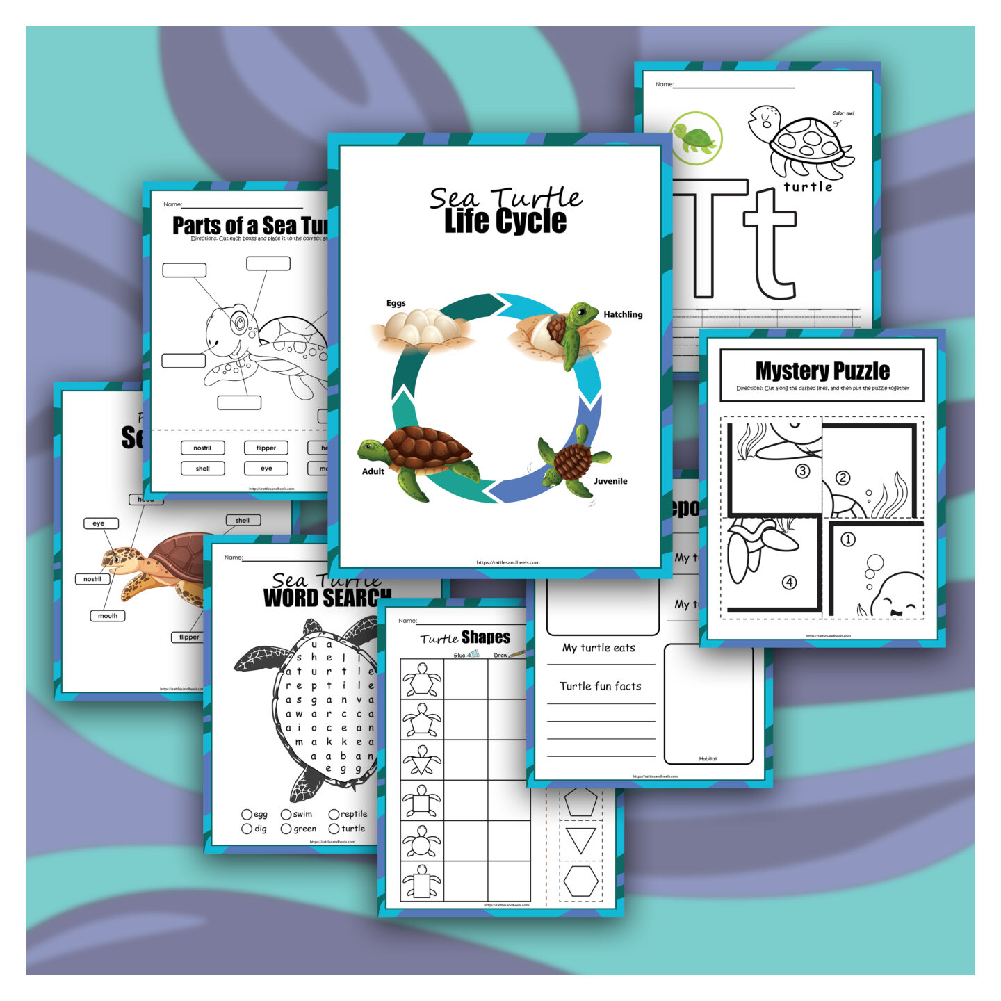 Sea Turtle Activity Sheets