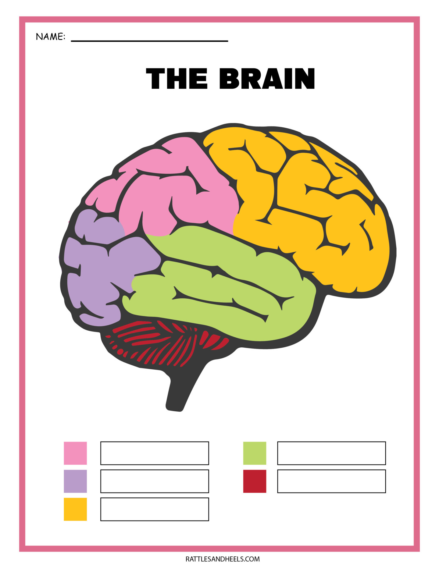 Label The Brain Worksheet Worksheets For Kindergarten