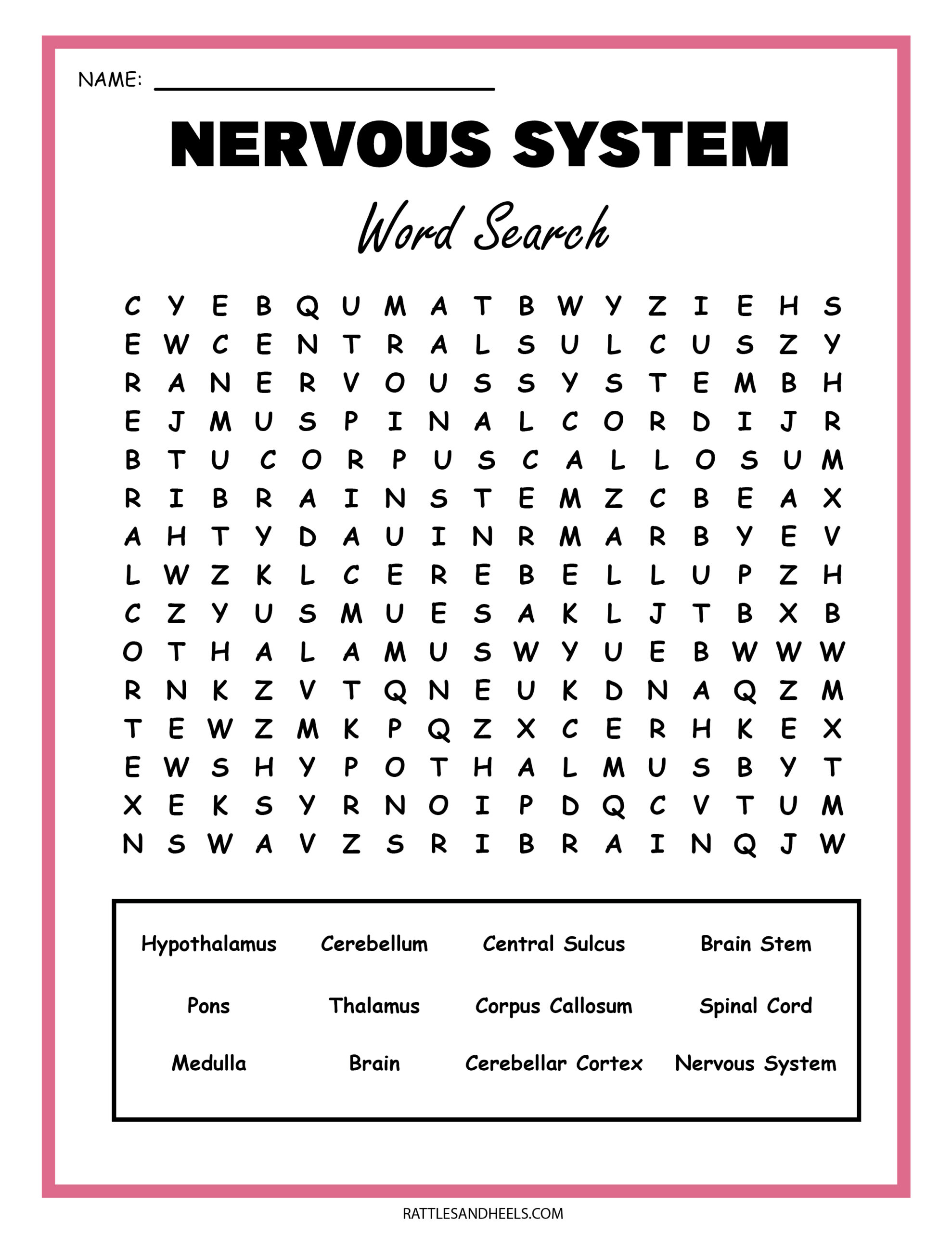 Free Science Worksheets| The Nervous System - Adanna Dill
