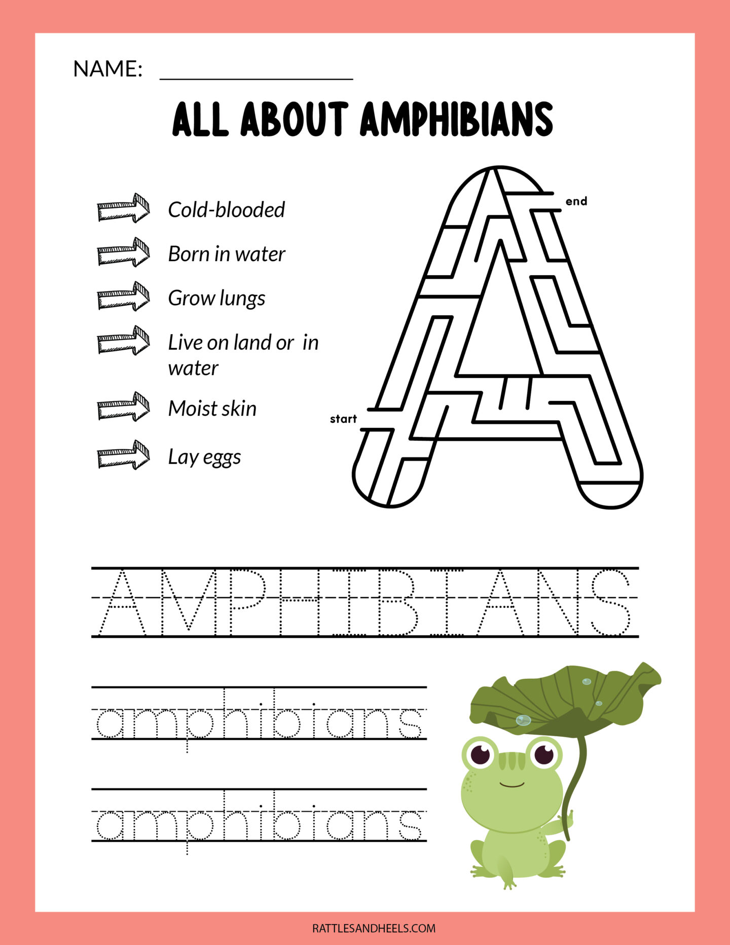 Amphibians Worksheets for Children | Loose Printables - Blackevo