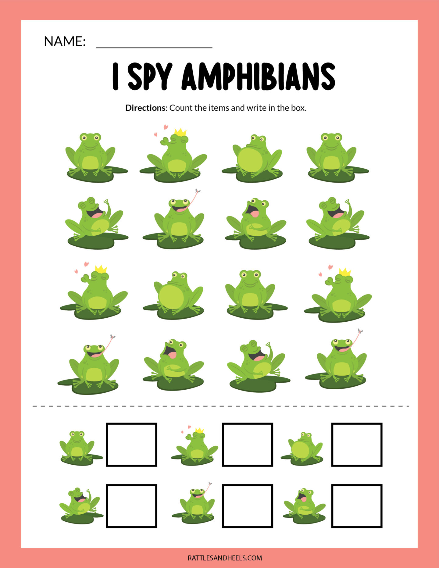 Amphibians Worksheets for Kids | Free Printables - Adanna Dill