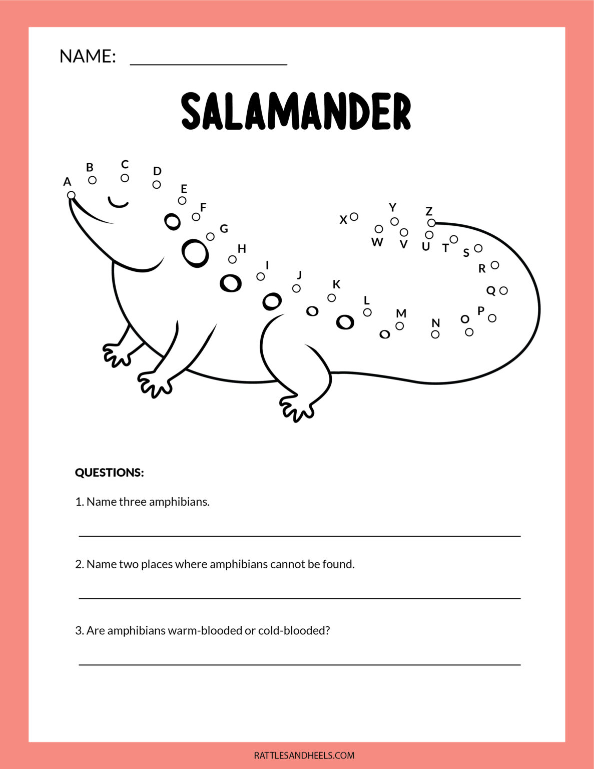 amphibians-worksheets-for-kids-free-printables-adanna-dill