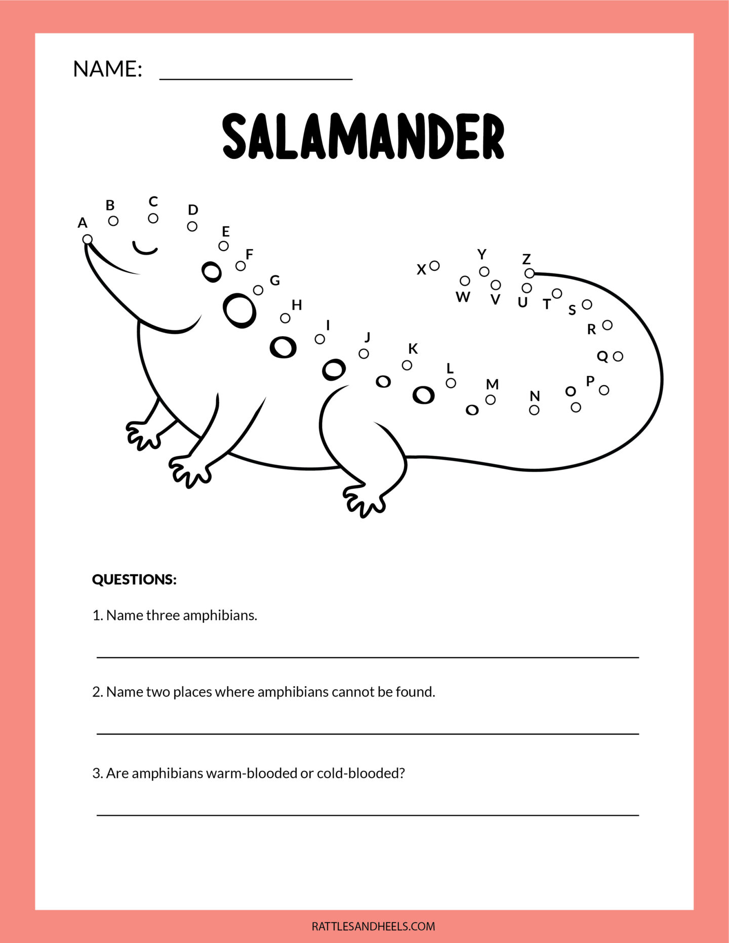 amphibians-worksheets-for-kids-free-printables-adanna-dill