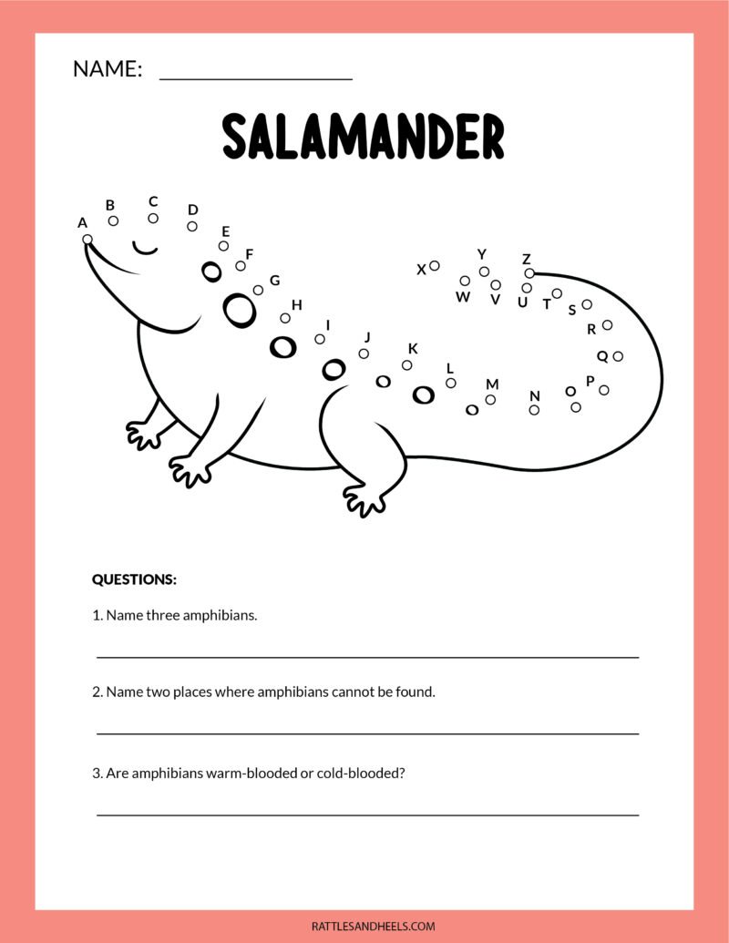 Amphibians Worksheets For Kids Free Printables Adanna Dill