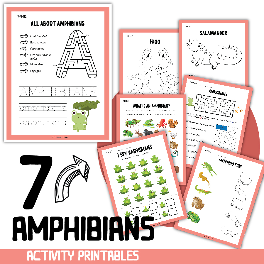 amphibians worksheets for kids free printables adanna dill